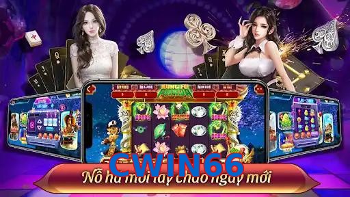 CWIN66