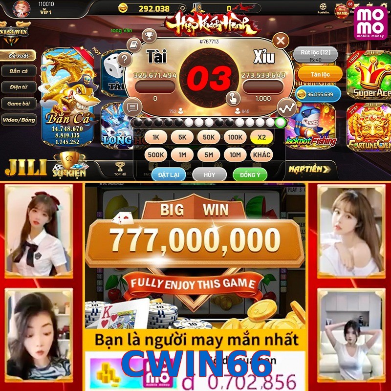 CWIN66