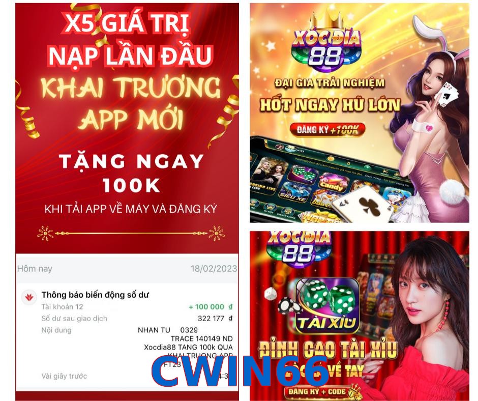 CWIN66